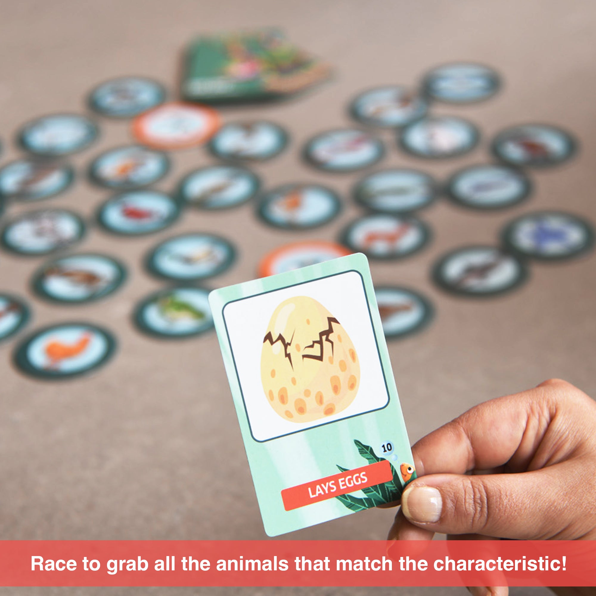 Chalk & Chuckles Eye See - Animals Card Game