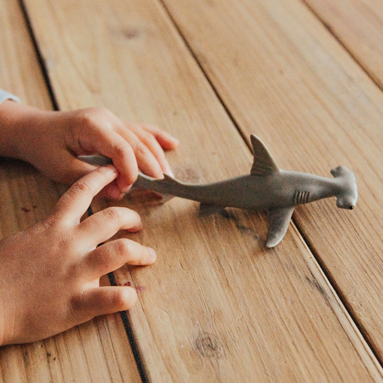 Hammerhead Shark Toy