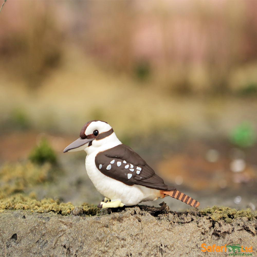 Kookaburra Toy