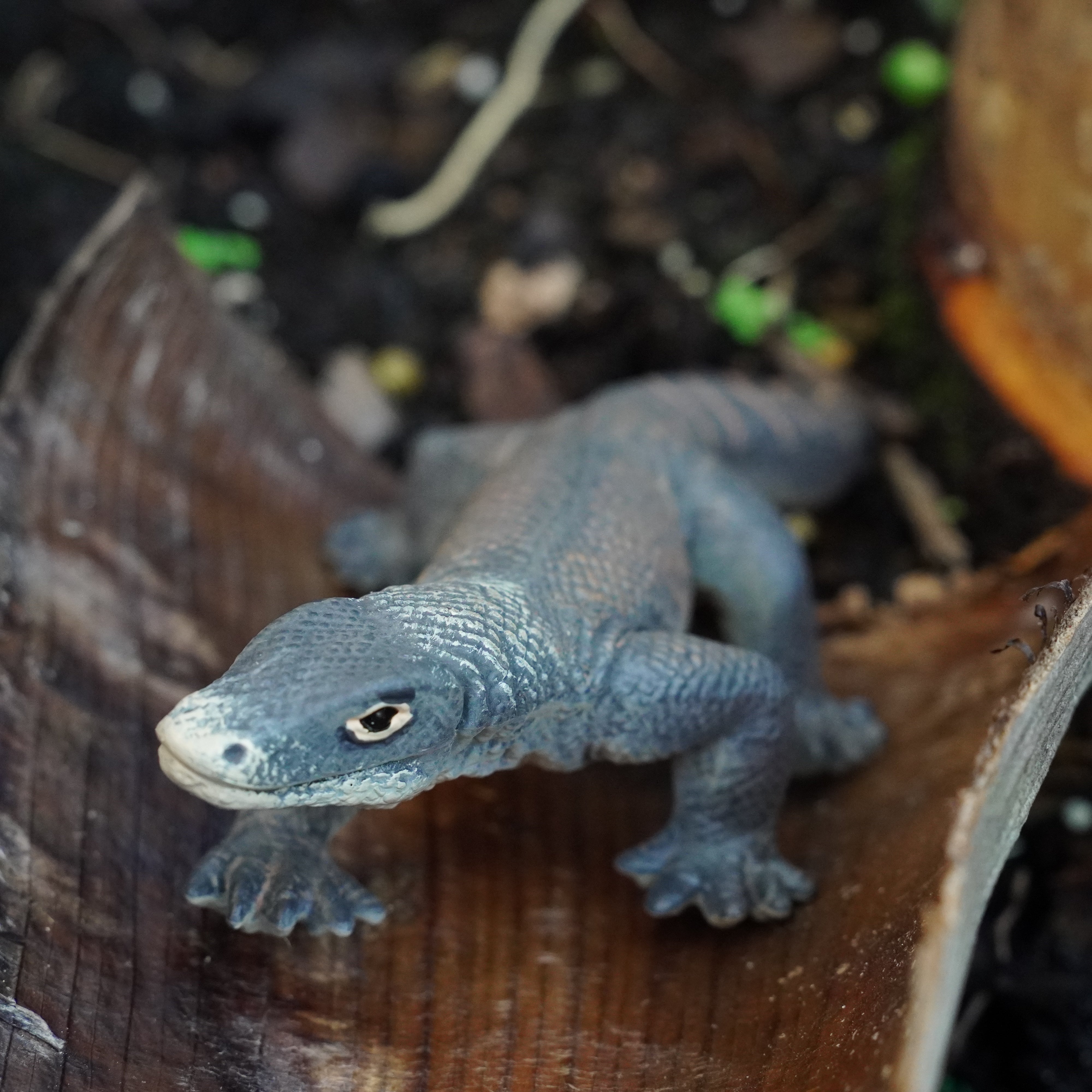 Komodo Dragon Toy