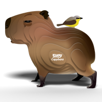 EUGY Capybara 3D Puzzle