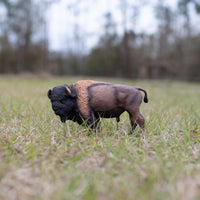 Bison Toy | Wildlife Animal Toys | Safari Ltd®