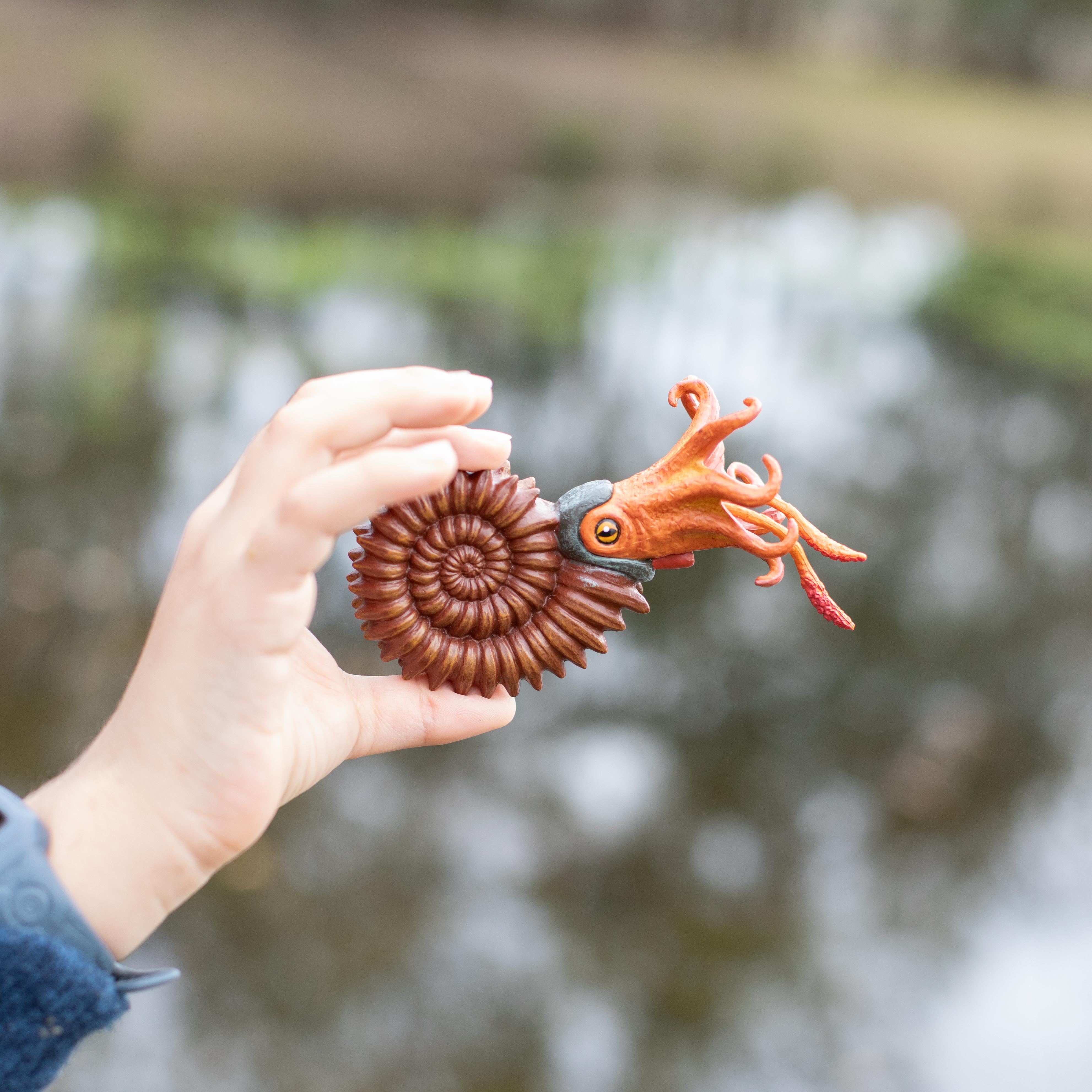 Ammonite Toy | Dinosaur Toys | Safari Ltd®