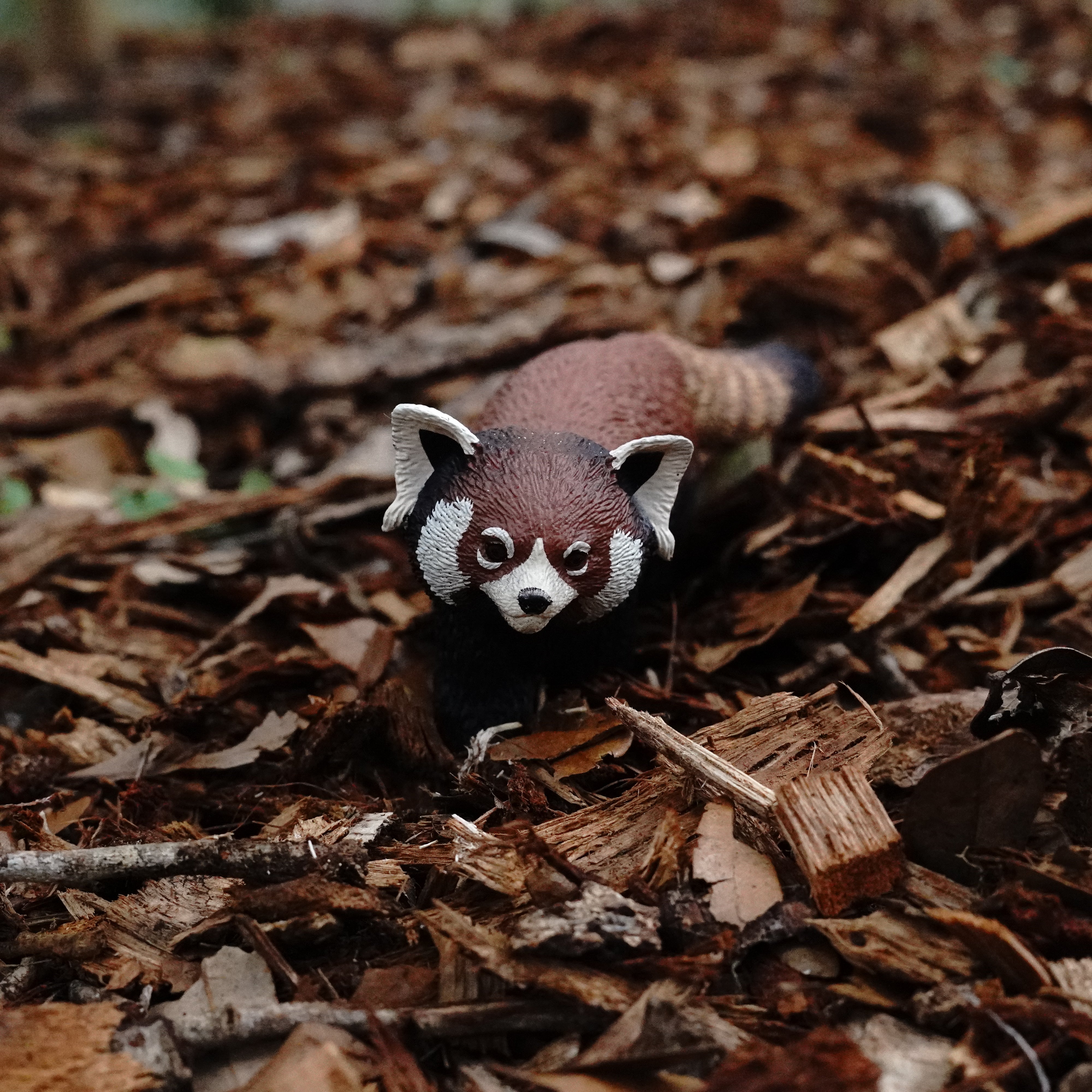 Red Panda Toy