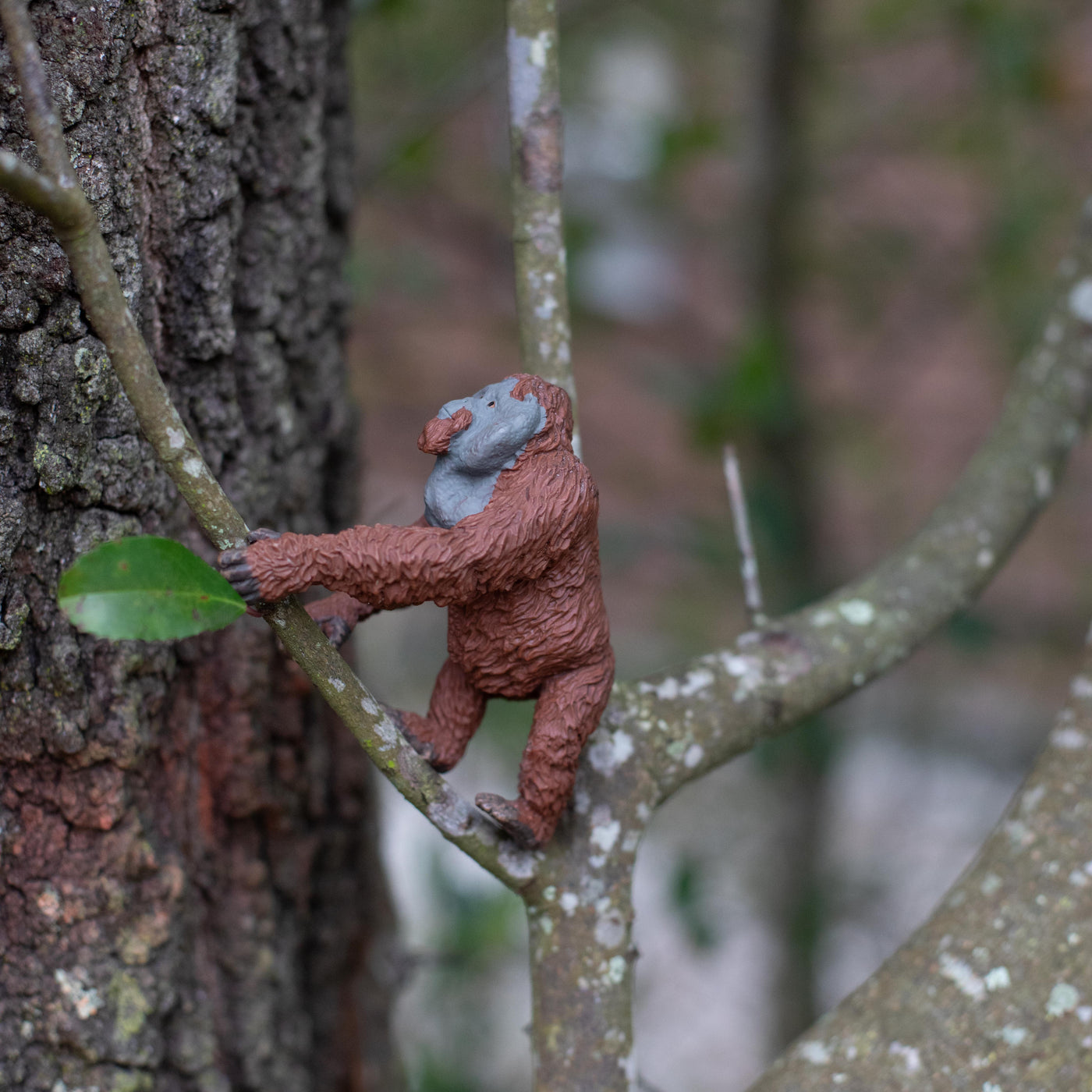 Male Orangutan Toy | Wildlife Animal Toys | Safari Ltd®