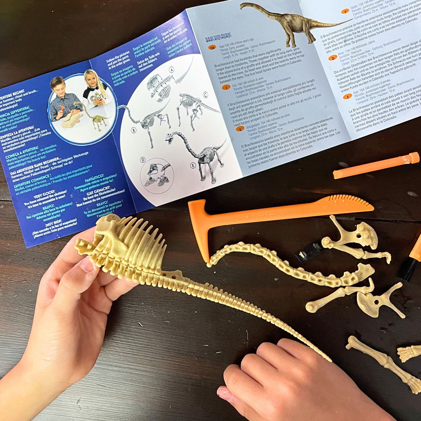 Dr. Steve Hunters GEOWorld Dino Dig Brachiosaurus Excavation Kit - 14 pieces |  | Safari Ltd®