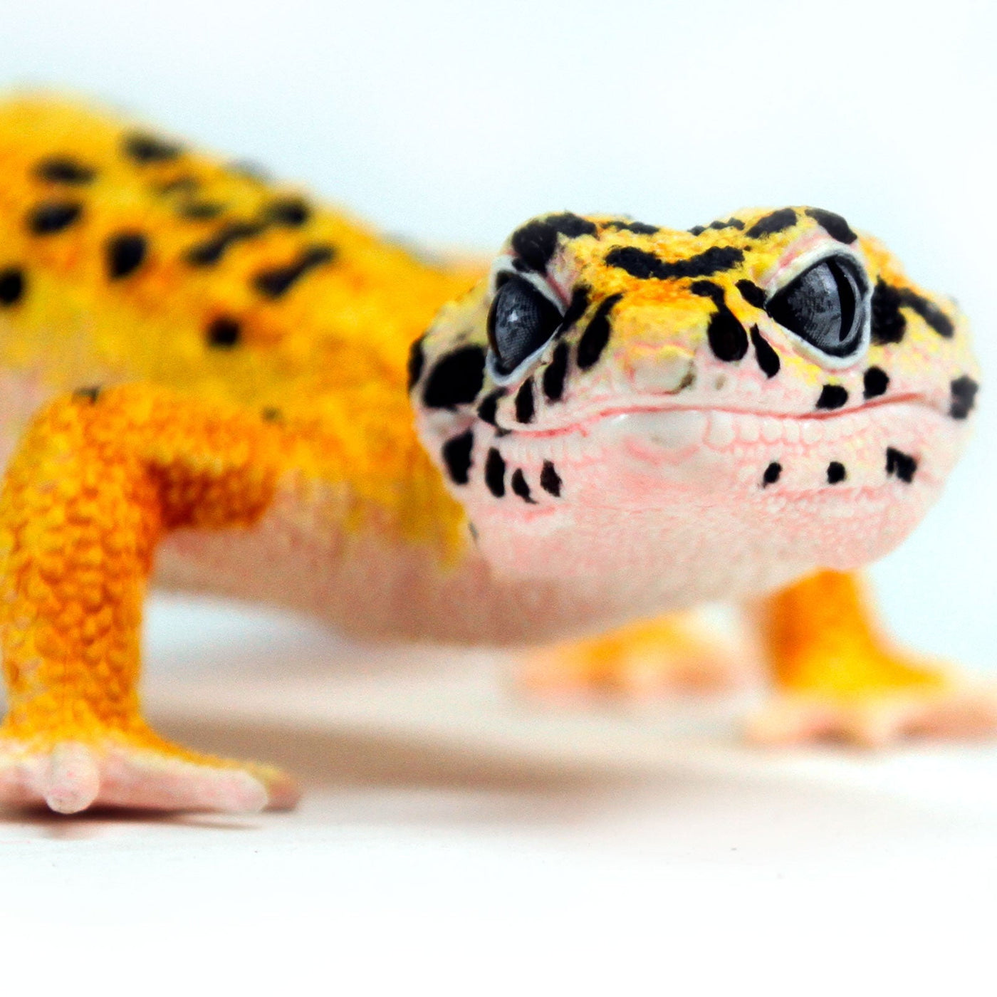 Leopard Gecko Toy Figure