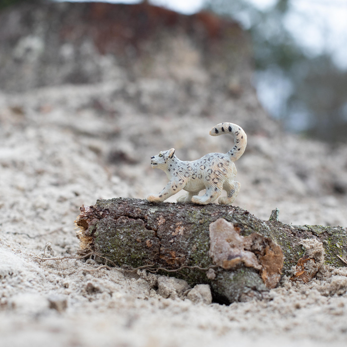 Snow Leopard Cub Toy | Wildlife Animal Toys | Safari Ltd®