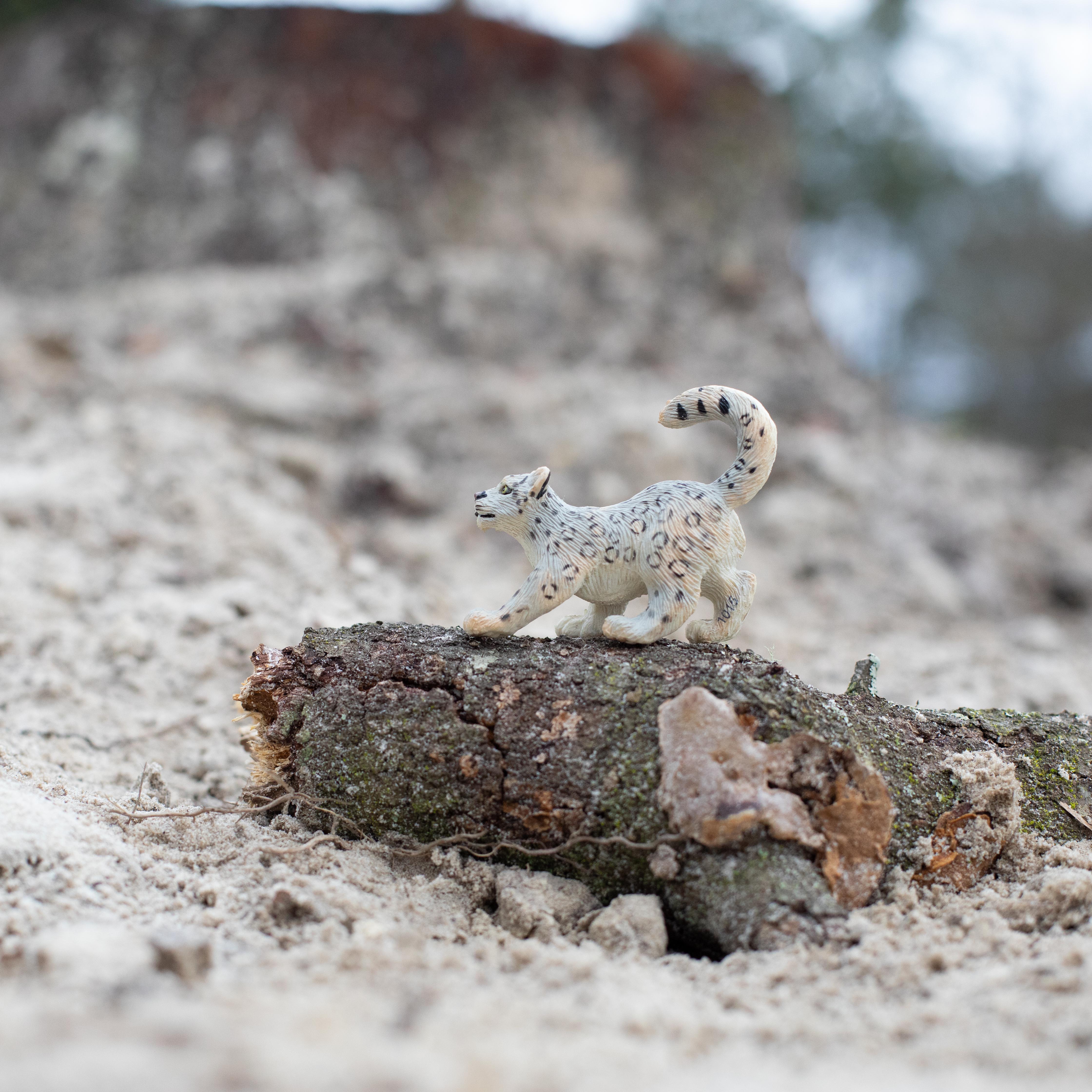 Snow Leopard Cub Toy | Wildlife Animal Toys | Safari Ltd®