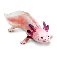 Axolotl Toy Figure | Incredible Creatures | Safari Ltd®