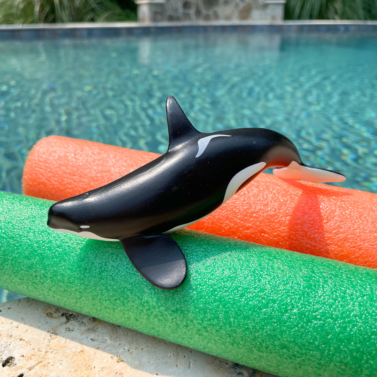 Type D Orca Toy Figure | Wild Safari Sea Life | Safari Ltd®