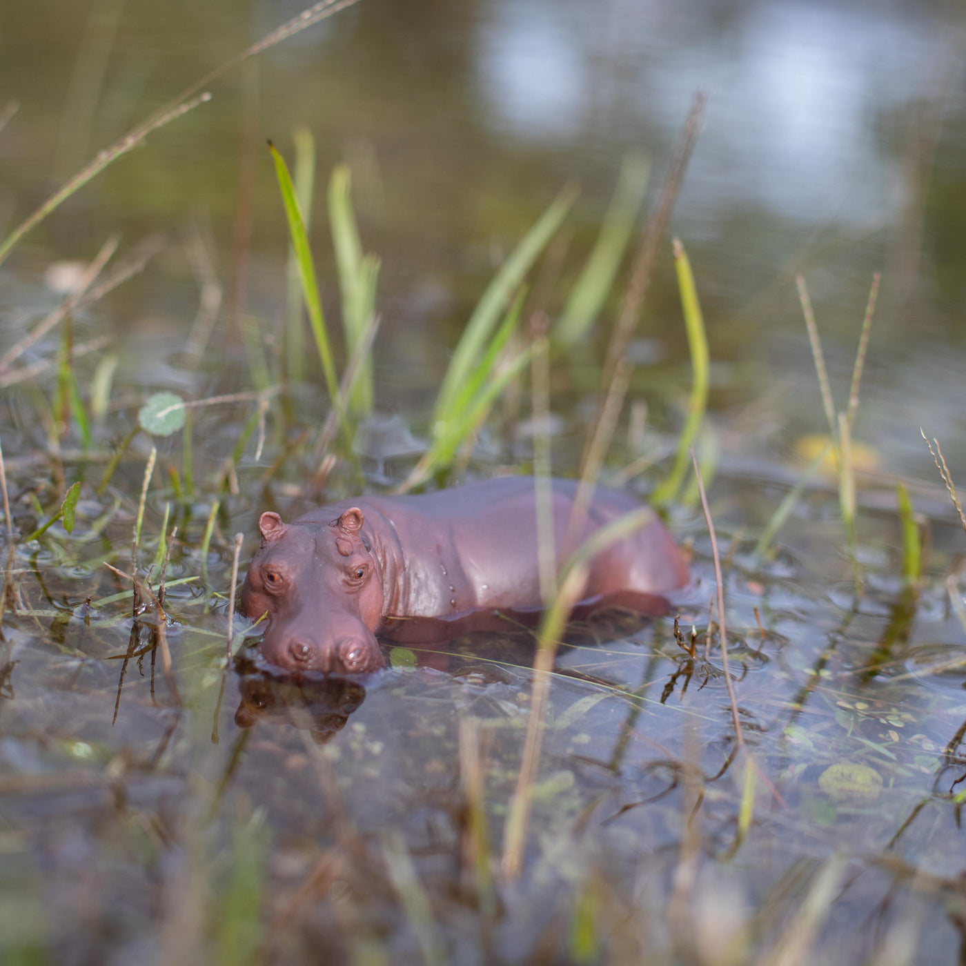 Hippopotamus Toy | Wildlife Animal Toys | Safari Ltd®