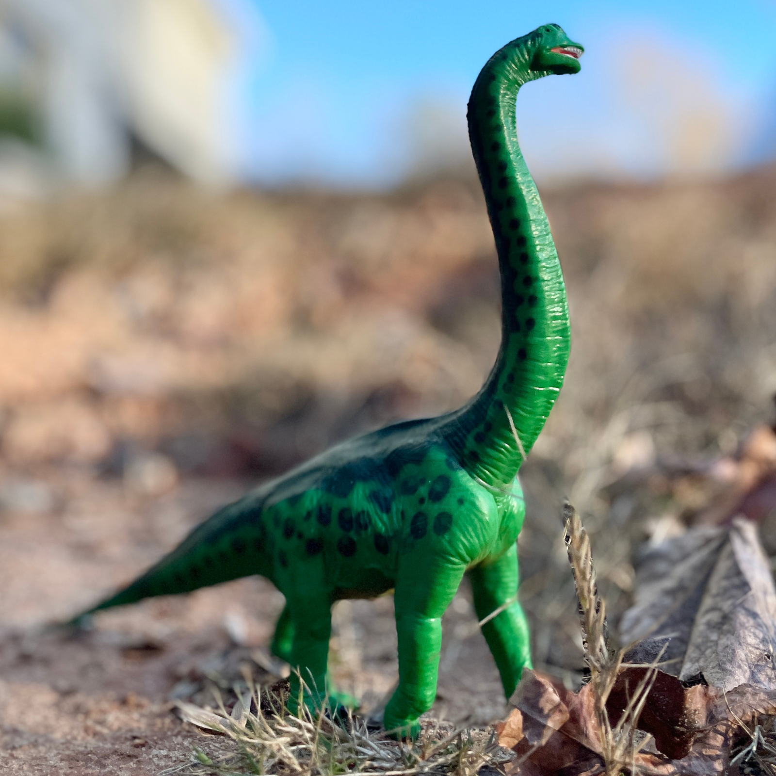 Brachiosaurus Toy