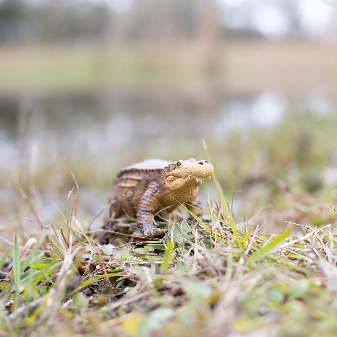 Sarcosuchus Toy | Dinosaur Toys | Safari Ltd®