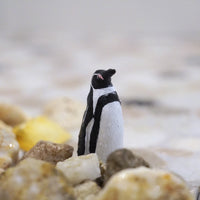 Humboldt Penguin Toy