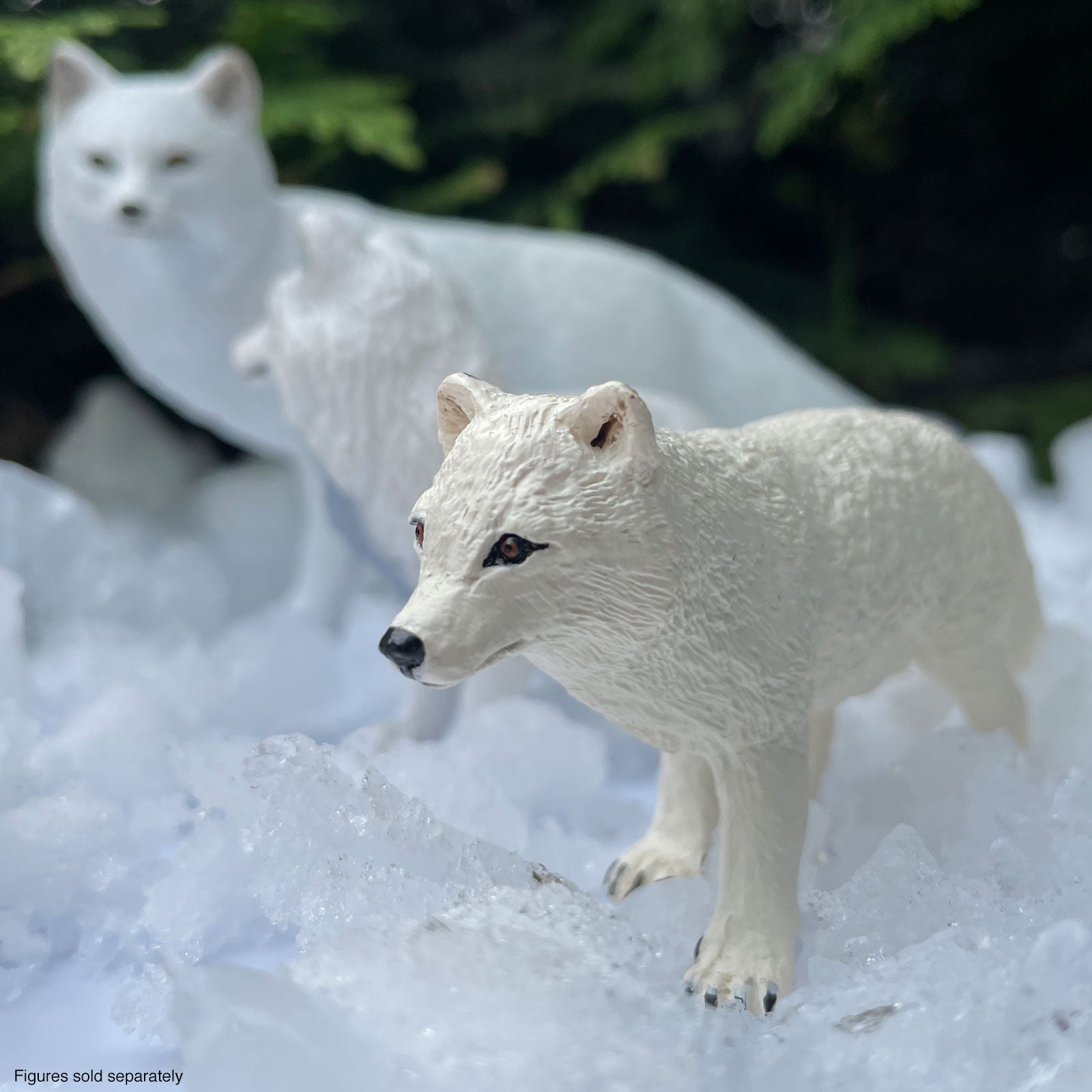 Arctic Fox Toy Figure | WS Naw | Safari Ltd®