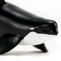 Type D Orca Toy Figure | Wild Safari Sea Life | Safari Ltd®