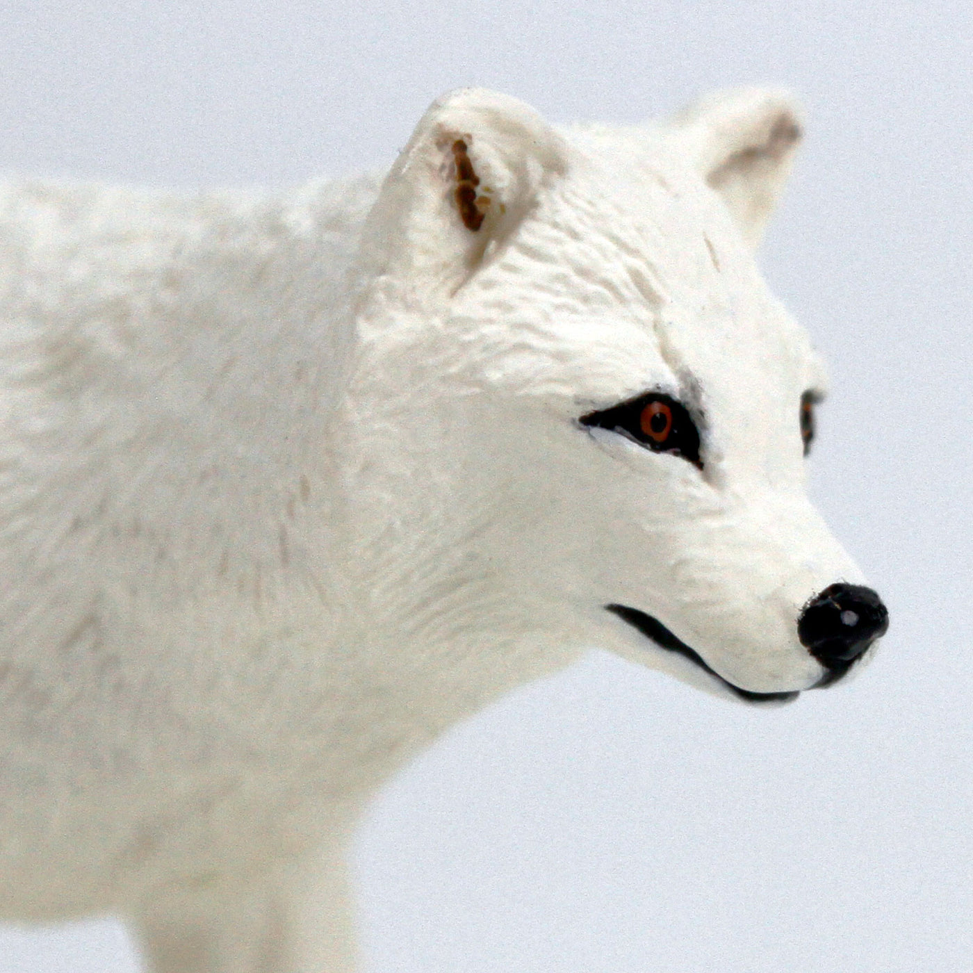 Arctic Fox Toy Figure | WS Naw | Safari Ltd®