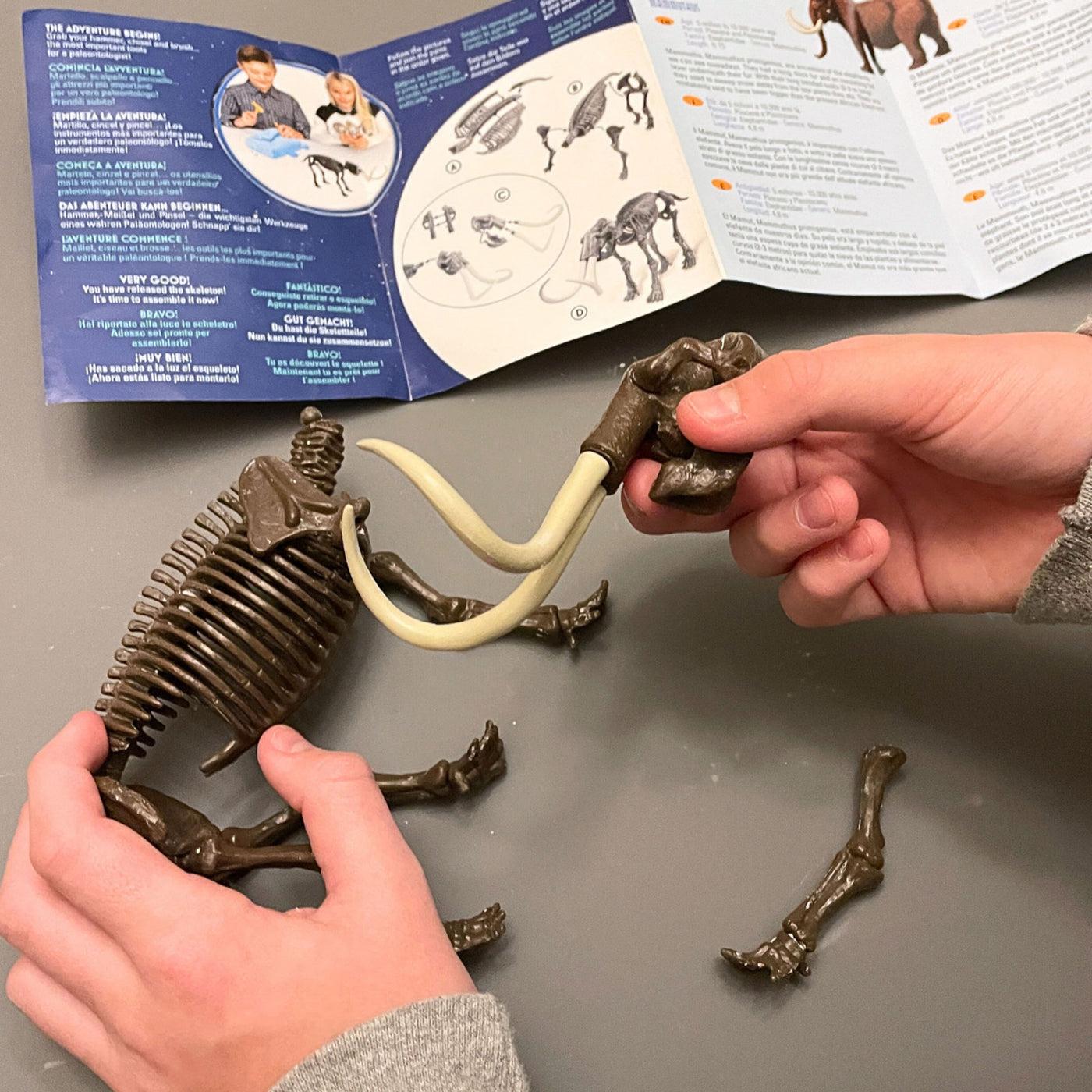 Dr. Steve Hunters GEOWorld Ice Age Dig Woolly Mammoth Mammthus Excavation Kit - 12 pieces |  | Safari Ltd®