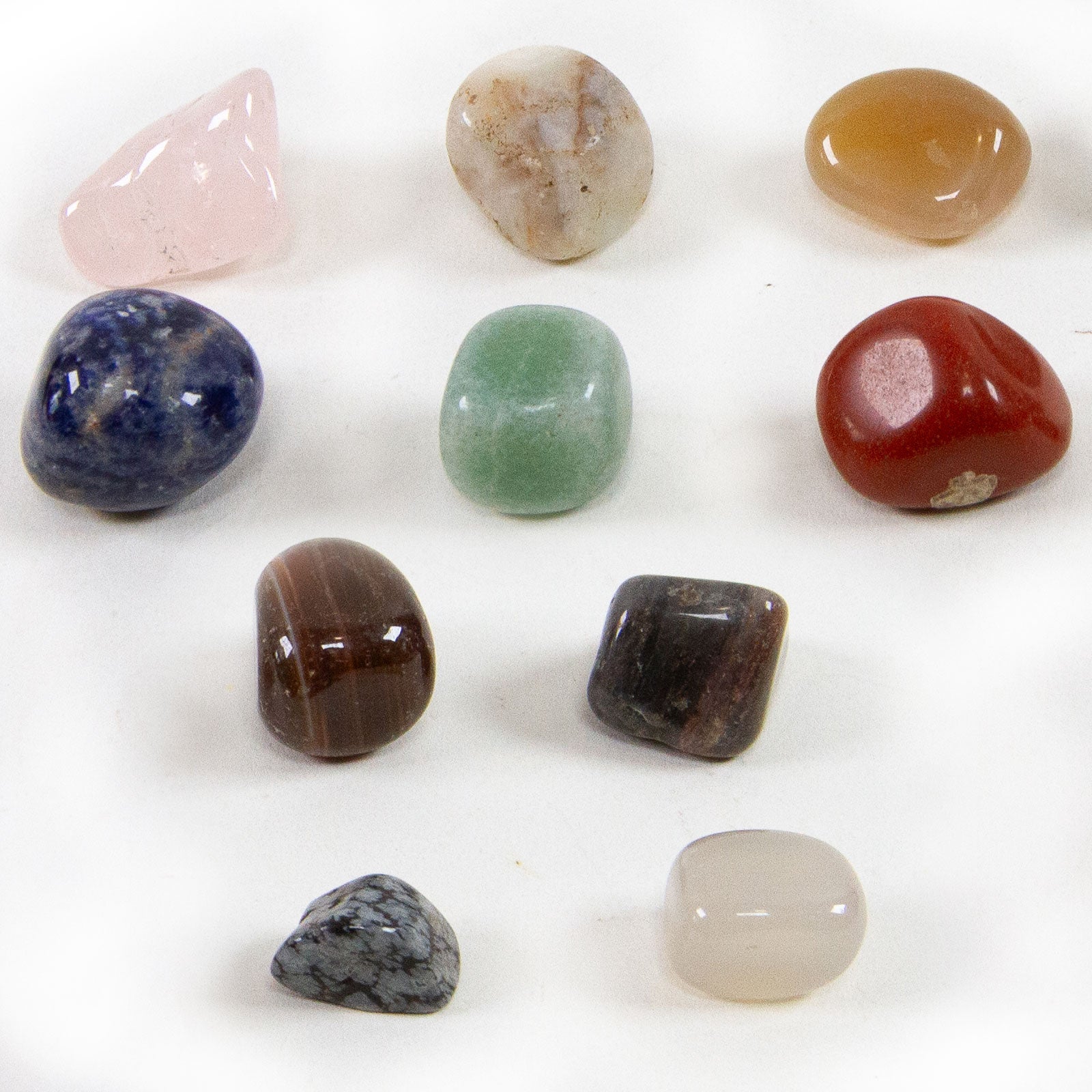 Dr. Steve Hunters Precious Stones from All Over the World  - 10 Real Stones Science & Education Toy Set |  | Safari Ltd®