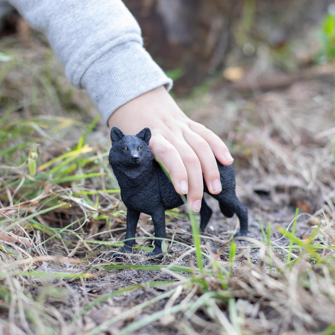 Black Wolf Toy | Wildlife Animal Toys | Safari Ltd®