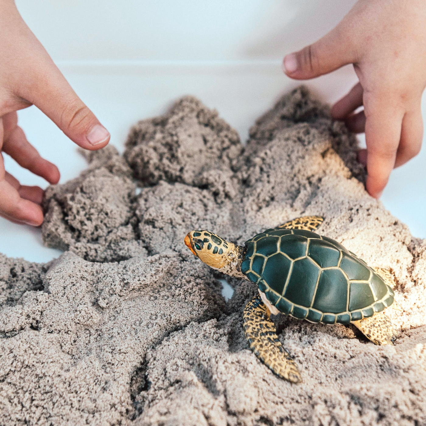 Green Sea Turtle Toy