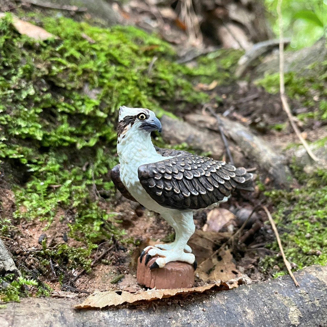 Osprey Toy Bird Figure