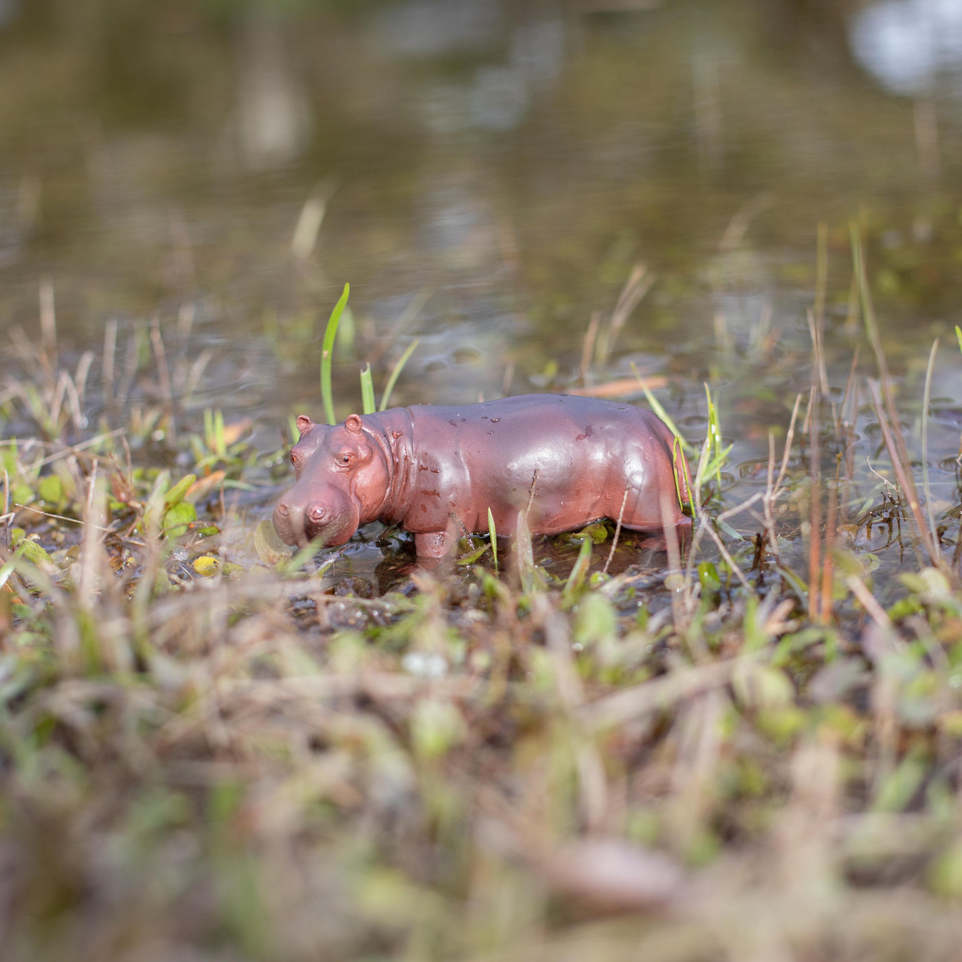 Hippopotamus Toy | Wildlife Animal Toys | Safari Ltd®