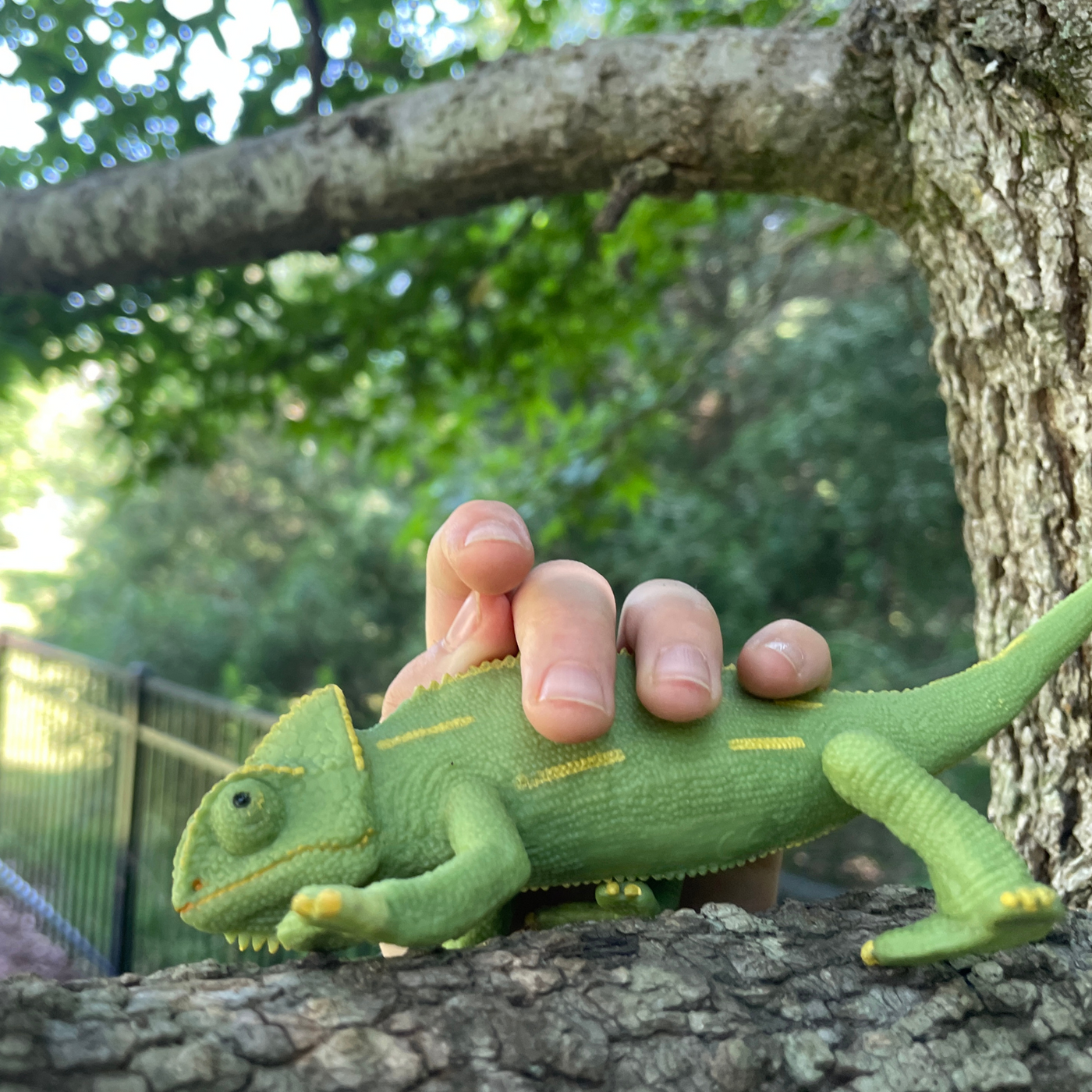 Veiled Chameleon Baby Toy | Incredible Creatures | Safari Ltd®