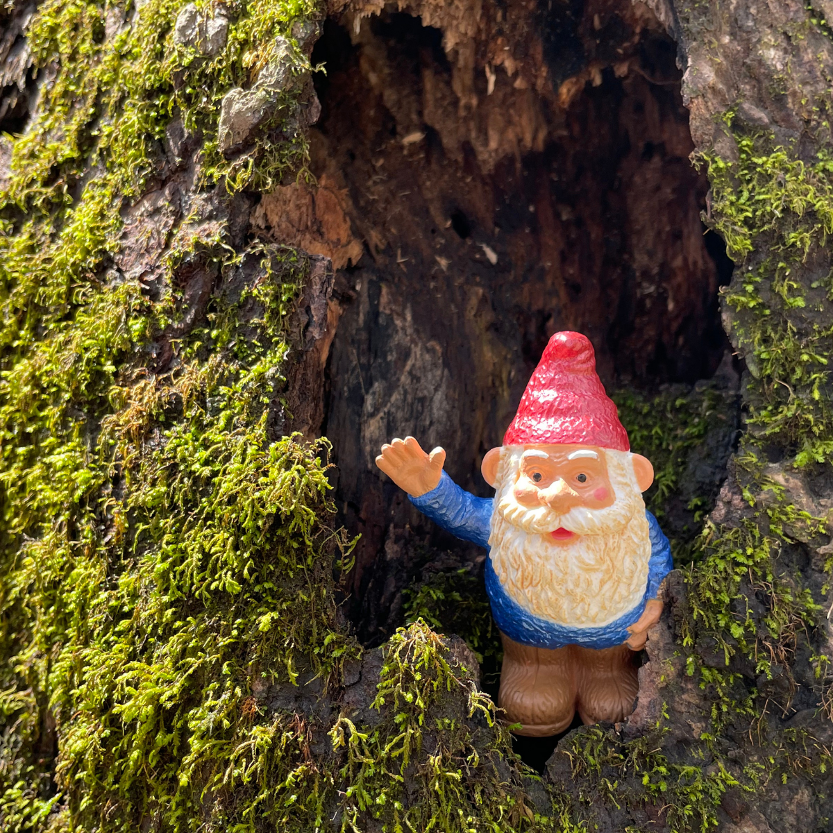 Gnorman the Gnome® - Blue | Mythical Creature Toys | Safari Ltd®