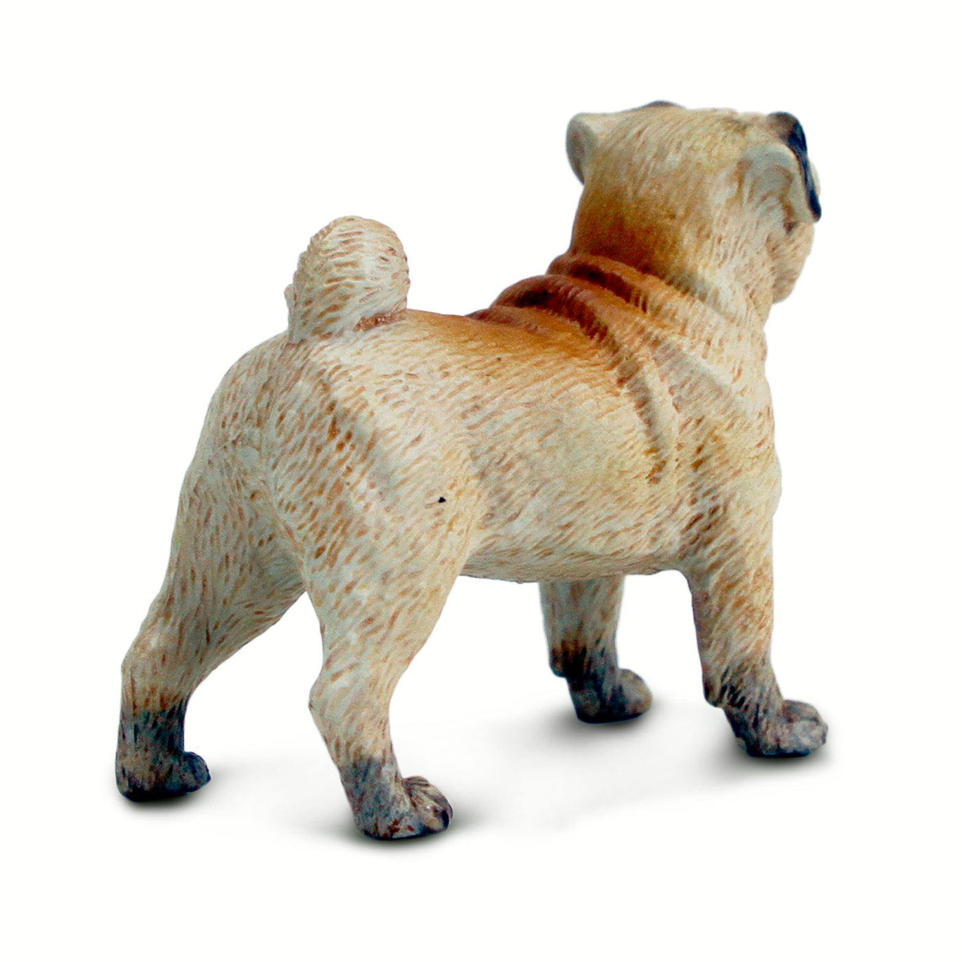 Pug Toy Dog Figure | Best In Show Dogs | Safari Ltd®