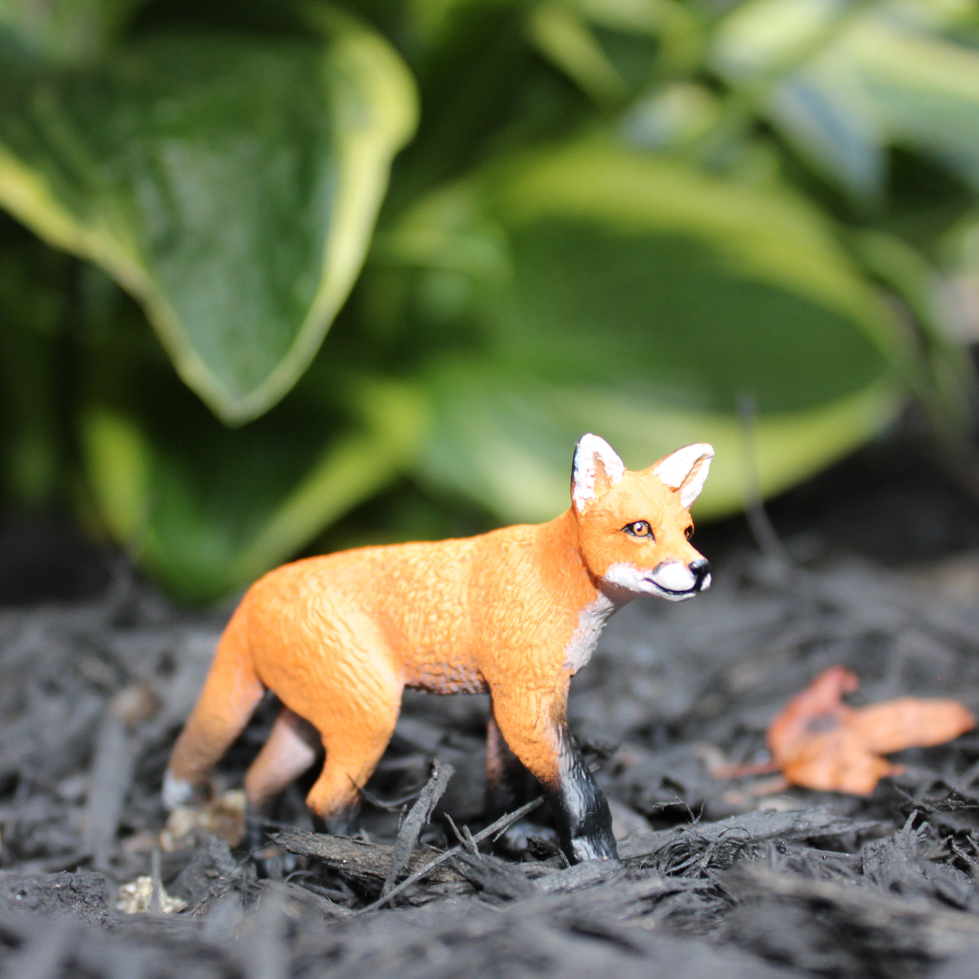 Red Fox Kit Toy Animal Figure |  | Safari Ltd®