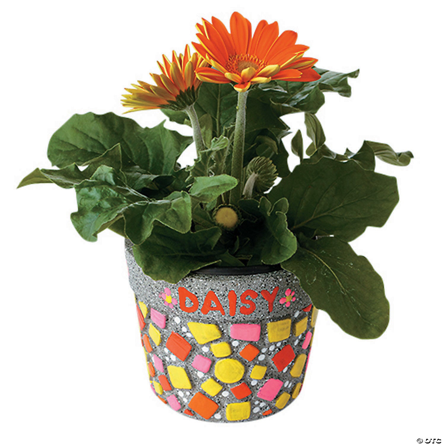 Paint your Own Stone: Mosaic Flower Pot