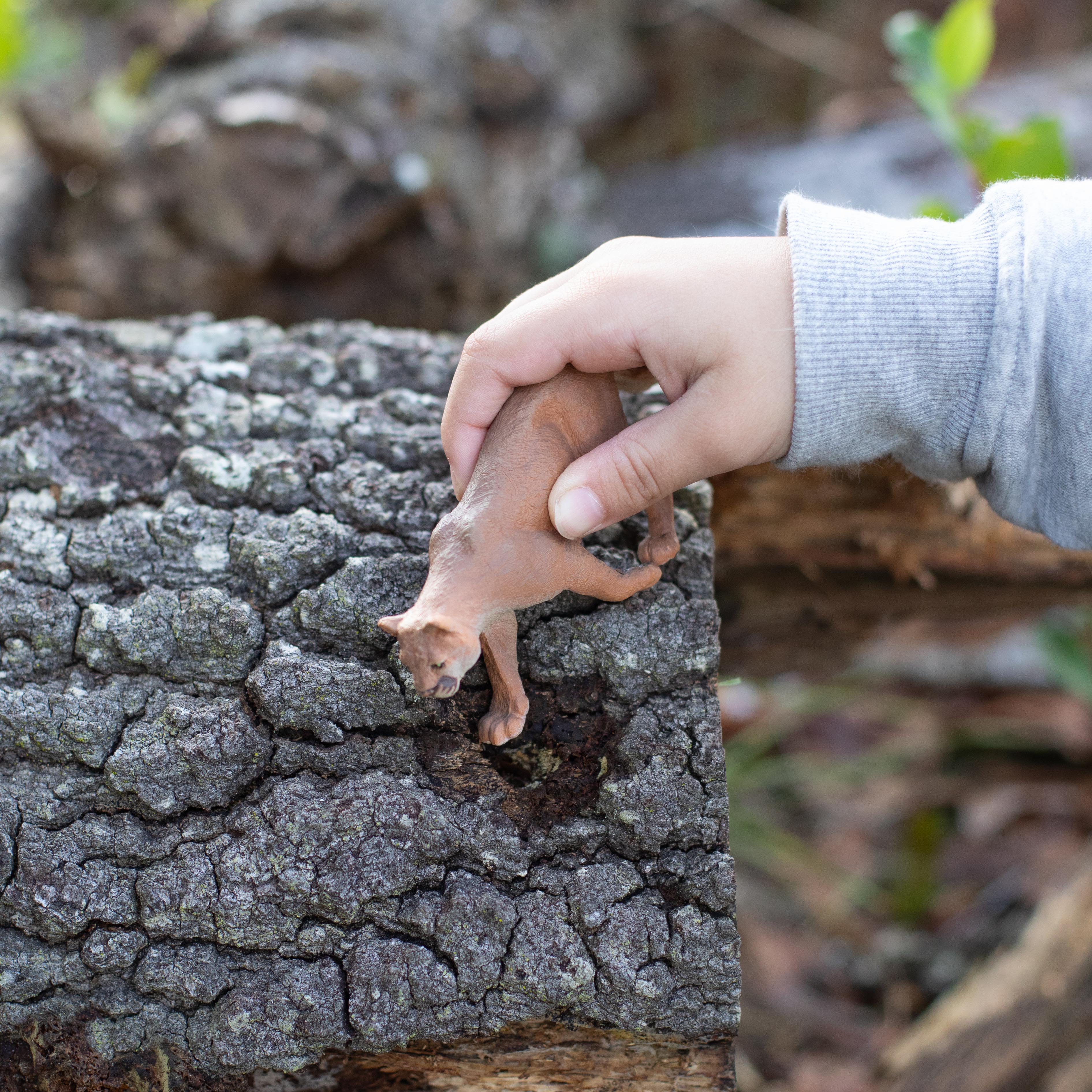 Mountain Lion Toy | Wildlife Animal Toys | Safari Ltd®