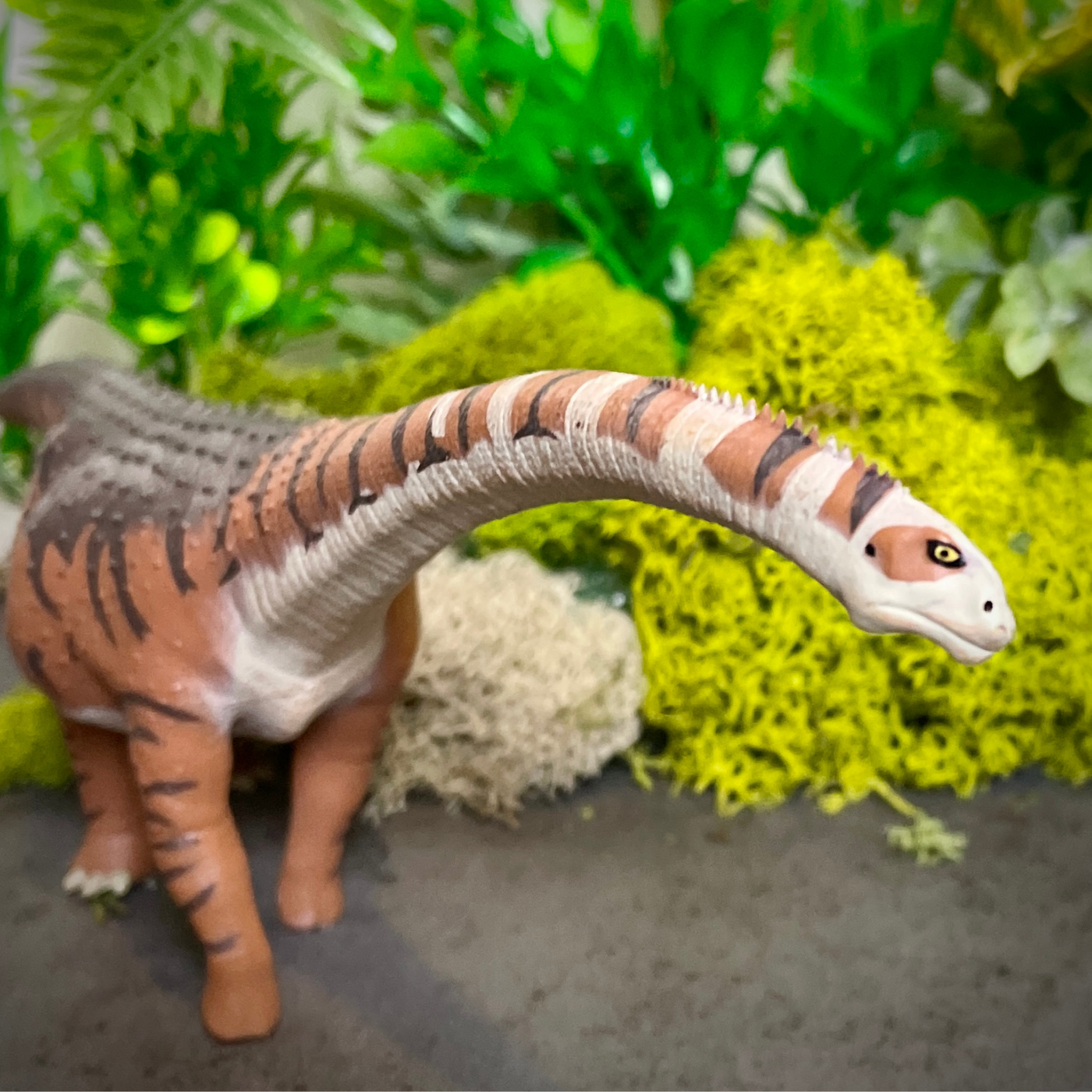 Malawisaurus Toy