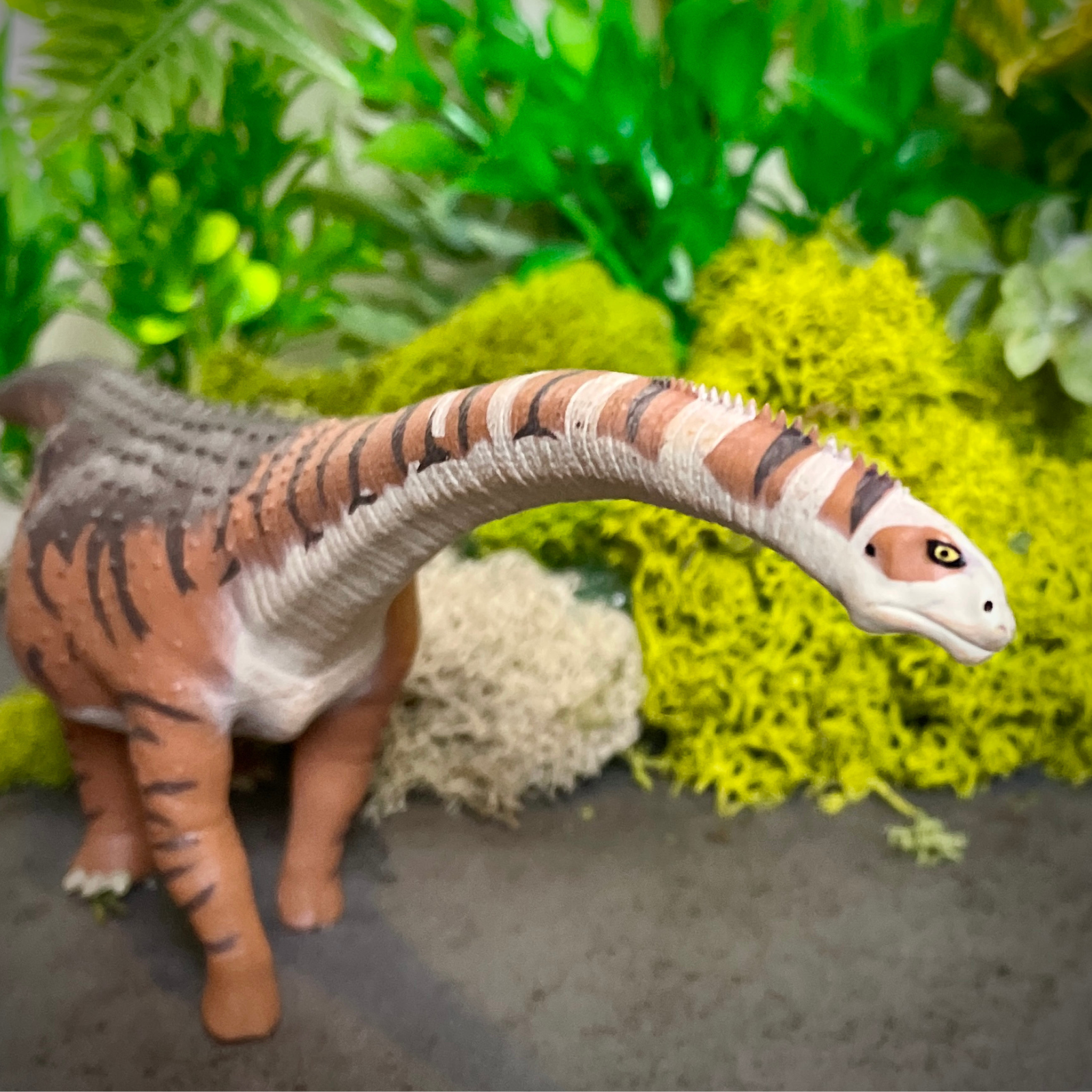 Malawisaurus Toy