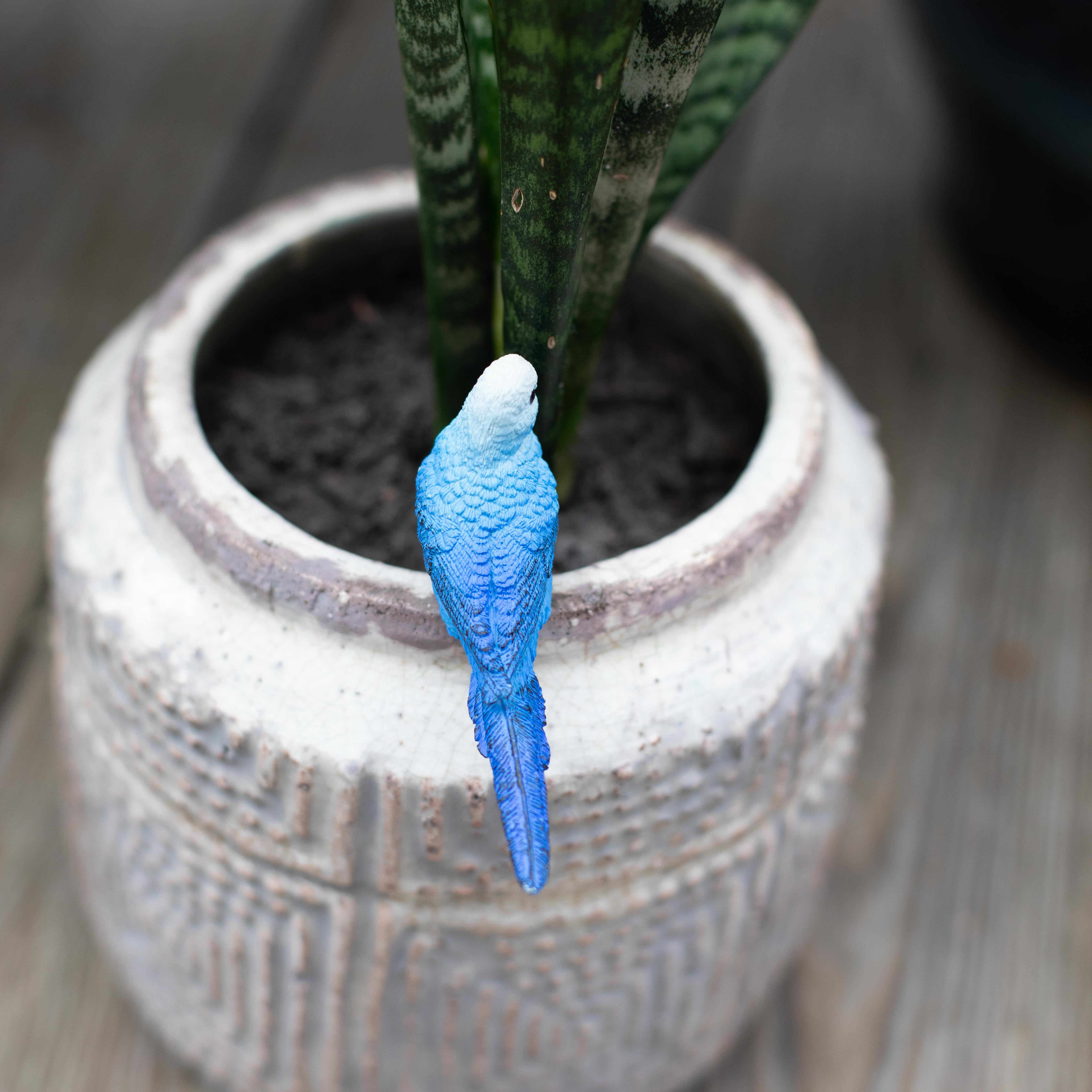 Blue Budgie Toy | Wildlife Animal Toys | Safari Ltd®