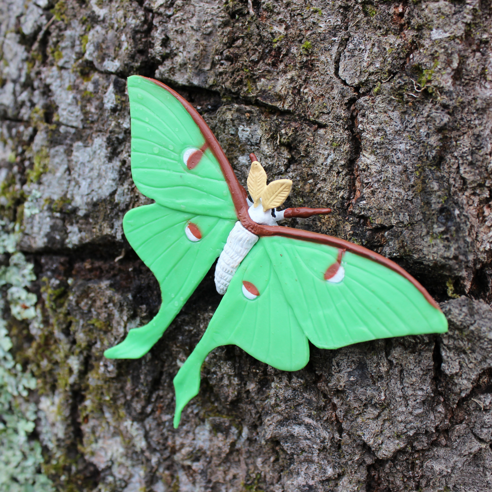 Life Cycle of a Luna Moth | Safariology® | Safari Ltd®