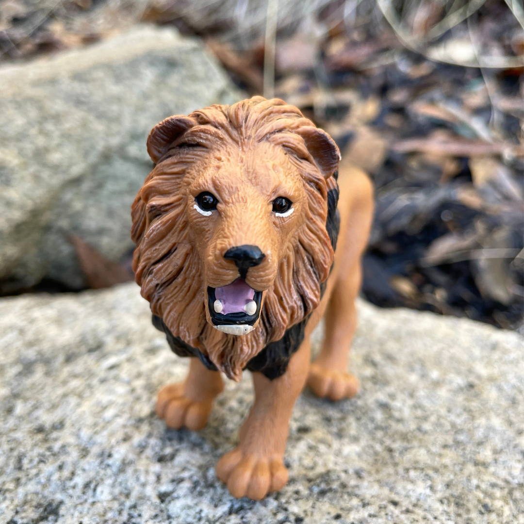 Lion Toy