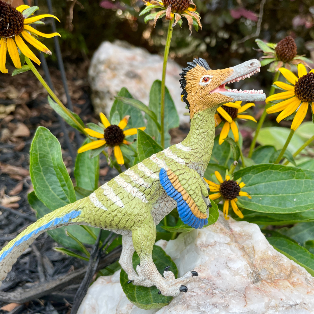 Austroraptor Toy Dinosaur Figure