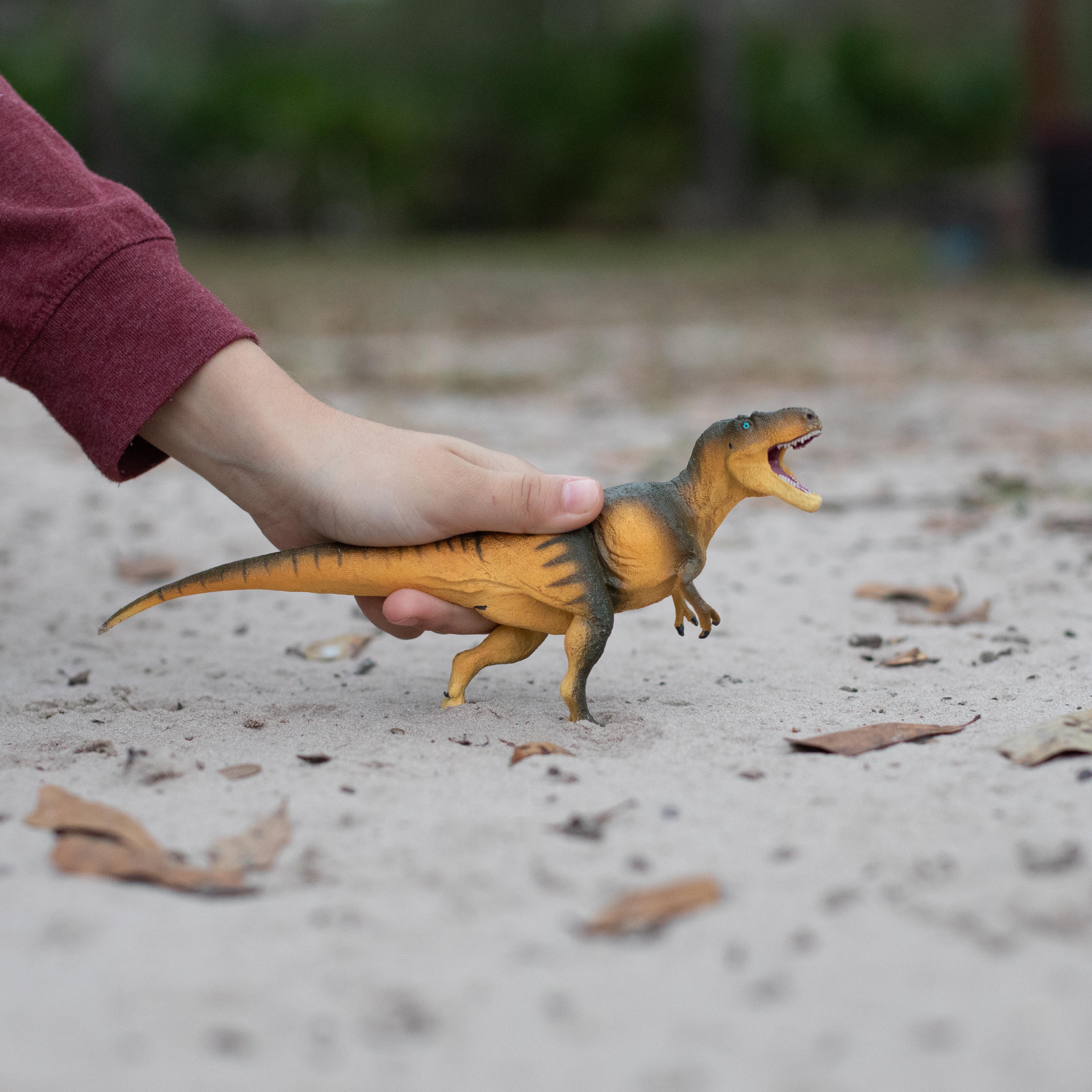 Daspletosaurus Toy | Dinosaur Toys | Safari Ltd®