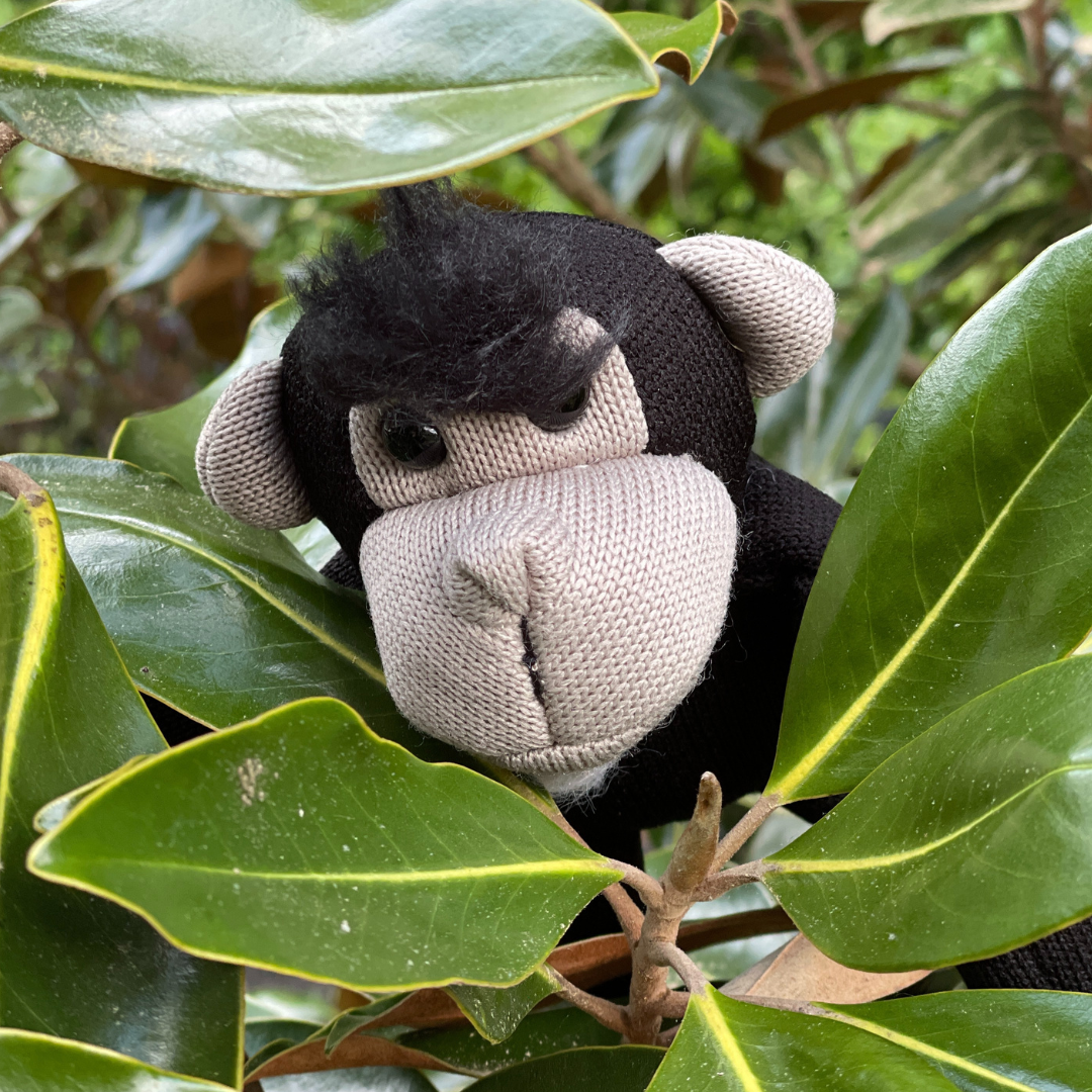 Jane's Greybeard the Chimpanzee - Mini Plush Toy |  | Safari Ltd®