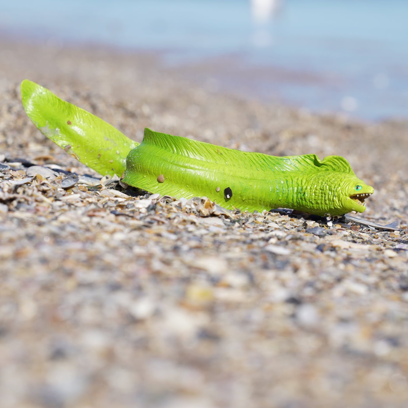 Moray Eel Toy | Incredible Creatures | Safari Ltd®