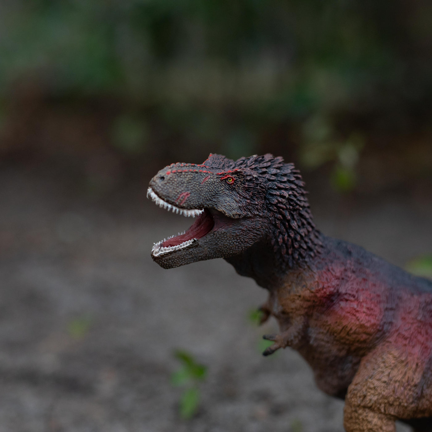 Feathered T-Rex Toy | Dinosaur Toys | Safari Ltd®