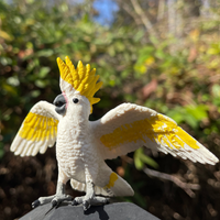 Cockatoo Toy