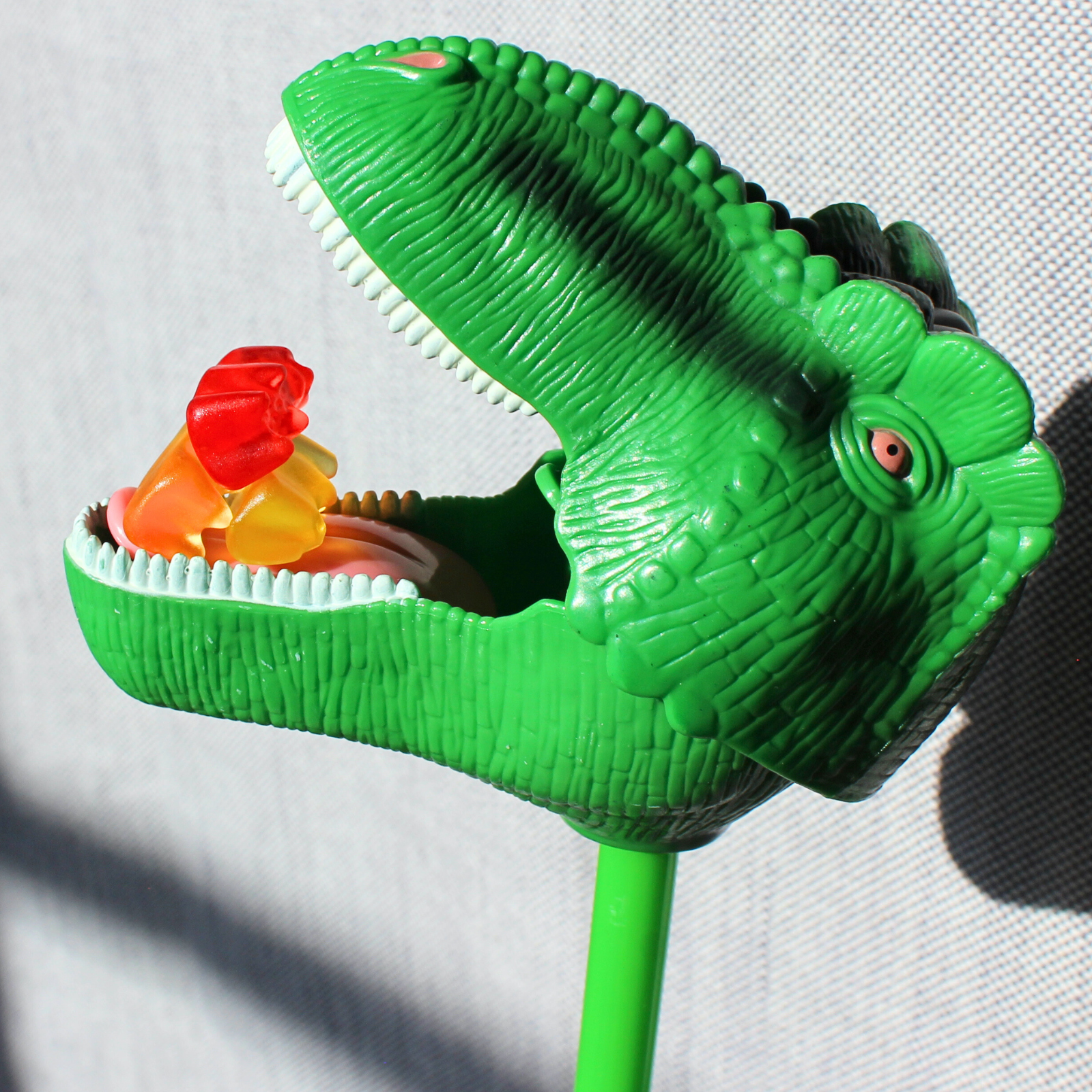 Green T-Rex Snapper Toy | Safariology® | Safari Ltd®