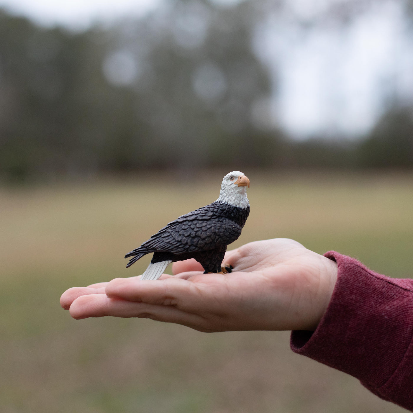 Bald Eagle Toy | Wildlife Animal Toys | Safari Ltd®