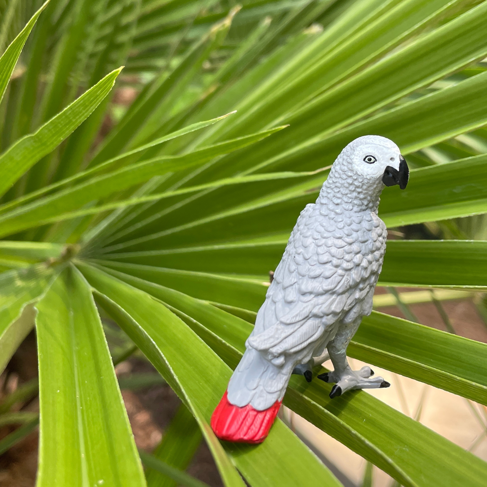 African Gray Parrot Toy Figure | Wow Birds | Safari Ltd®