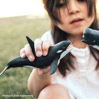 Killer Whale (Orca) Toy