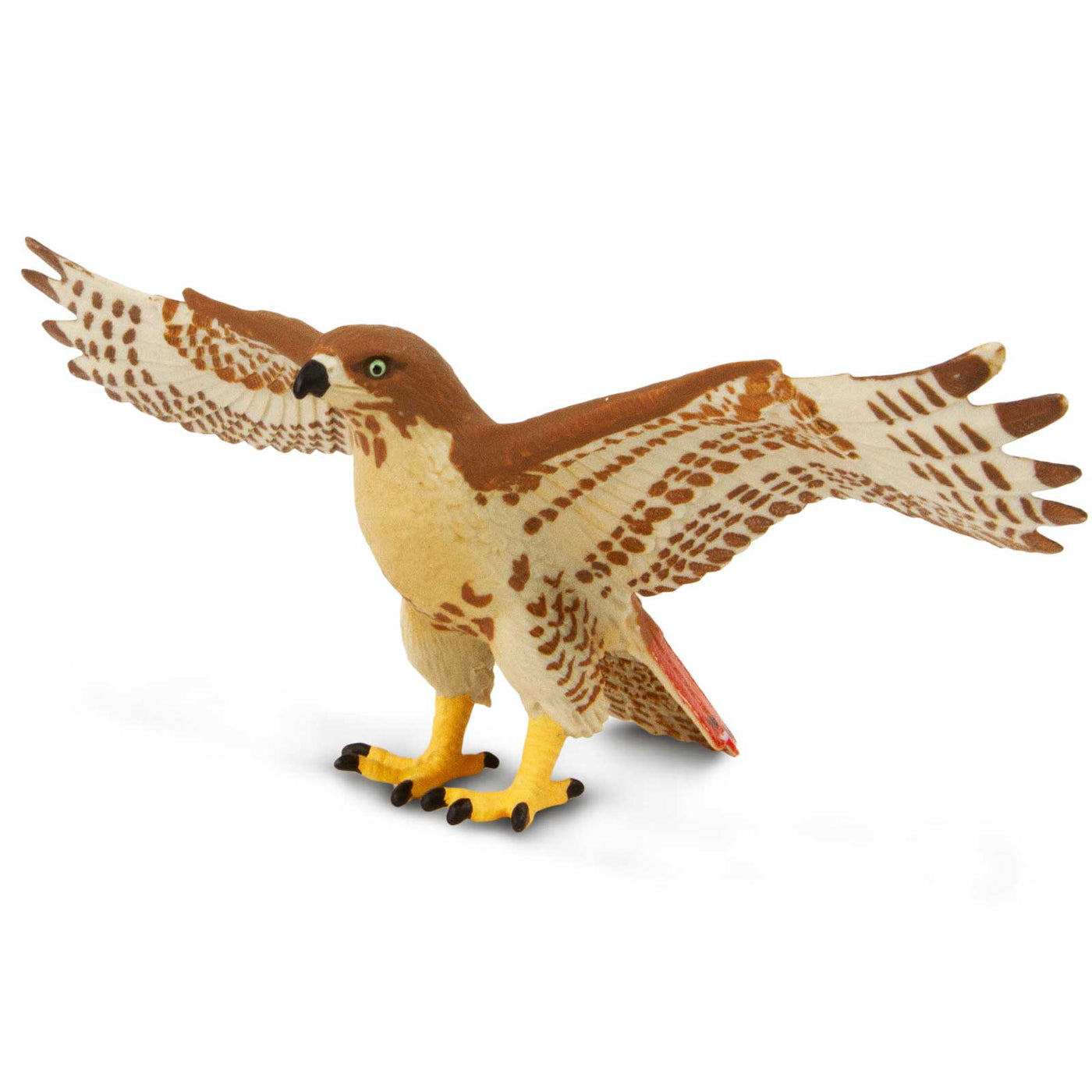 Red-Tailed Hawk - Safari Red-Tailed Hawk Toy | Wildlife Animal Toys | Safari Ltd.®